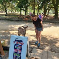 Für welches Eis sich wohl Hirschilein und Pattylein entscheiden werden?! 🤔🦌🍦😄