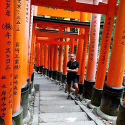 Zu Besuch beim populären Fushimi Inari-Taishi Schrein