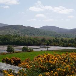 Einer der schönen Fotostopps auf dem Heimweg