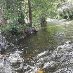 Stream at the bottom of the garden