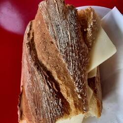 Cheese sandwich again for lunch - bocadillo de queso