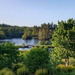 Landschaftlich genial 🌲🌳🌳🌲