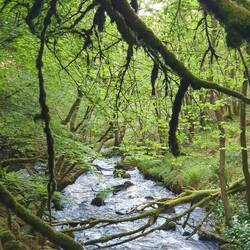 Und Wasserfall-Liebhaber 🥰