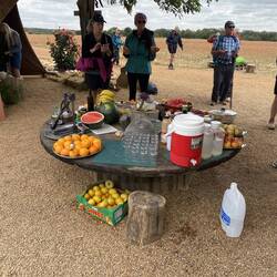 The picnic