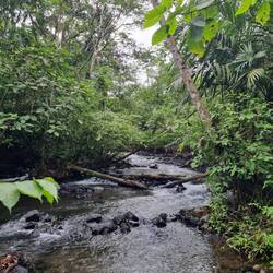 Hot Springs