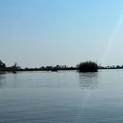 ...und am Ufer ein leider nicht sichtbarer, frecher Bulle