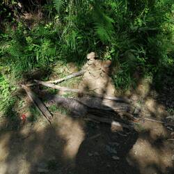 Richtungspfeil aus Geäst (muss man erstmal sehen 😉)