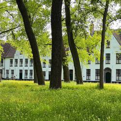 A quiet convent like corner for women who wanted to live like nuns but without vows