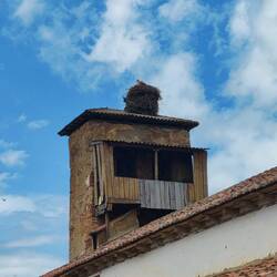 Stork's nest
