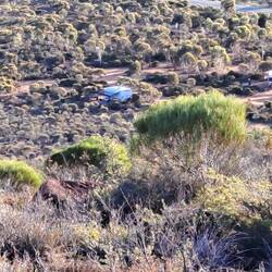 Our caravan from top of hill