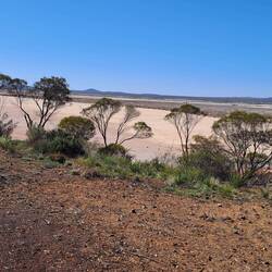 Lake Cowan