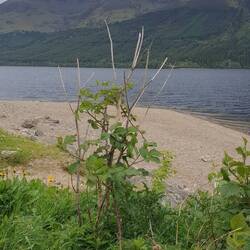 Hier stehen wir schön ruhig und: