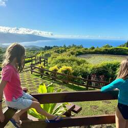 Au belvédère de Taravao