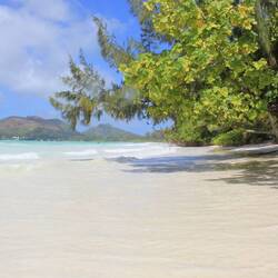 Anse Volbert auf Praslin