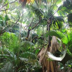 Im Park: Vellée de Mai