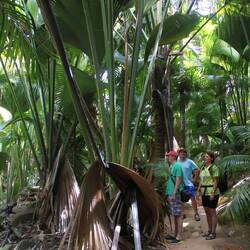 Im Park: Vellée de Mai