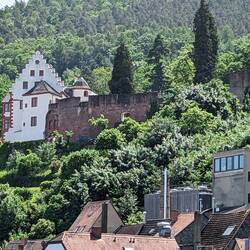 Burg Miltenberg