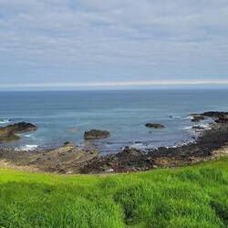 Nay of the Cow, at the Giants Causeway