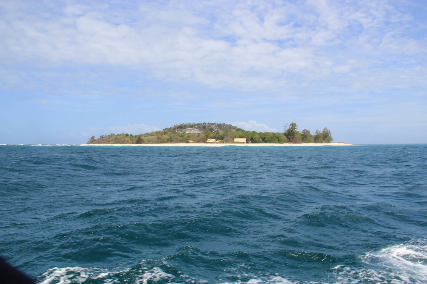 Insel Cousin