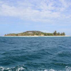 Insel Cousin