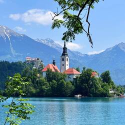 Isola pn Lake Bled