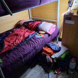 Gute Nacht 😘🐈🐈😴😴😴❤️