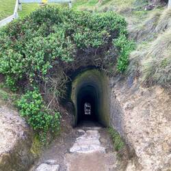 Tunnel am Tunnel Beach