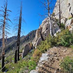 The Terrain is getting steeper and wilder