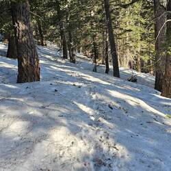 Continuous snow cover