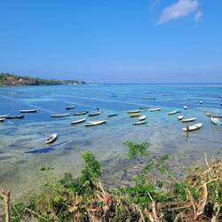 Seaweed Farm