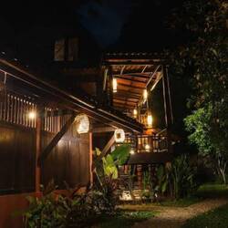Dschungelhaus bei Nacht