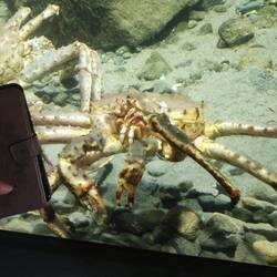 Das sind ganz schöne Kawenzmänner