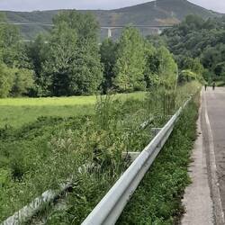 Like yesterday much of trail was walking along the road or beside the road