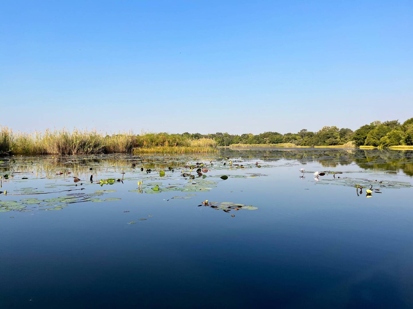 Okawango Panhandle