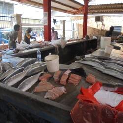 Market
