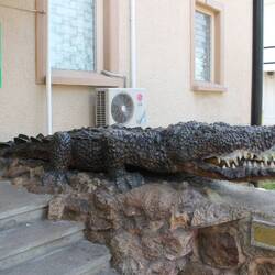 Museum of Natural History