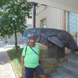 Museum of Natural History