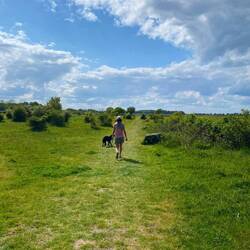 Runde durch das Galloway Gehege