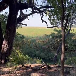 Ein Moment der Stille