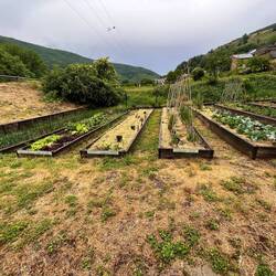 Caza Suzi veggie patch