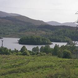 Auch hier wieder eine kleine Insel mit Baumgruppe🌳🌲🌳🌲