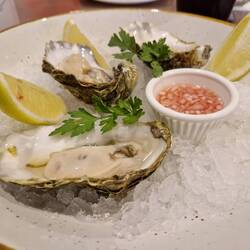 Stefan nimmt die Austern direkt aus dem Meer vor Ullapool