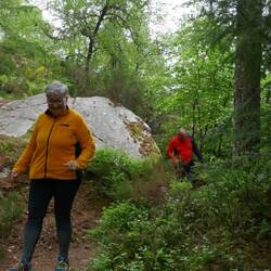 Wandern durch den Wald macht sichtlich Spass