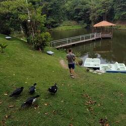 Luca seguito dalle sue nuove amiche