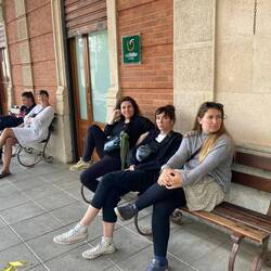 Die wartenden Hühner auf der Stange