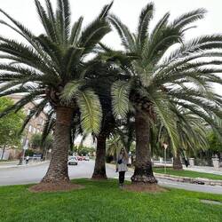 Fotosession für DAS perfekte Foto