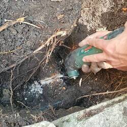 remove the roots that destroyed the connection