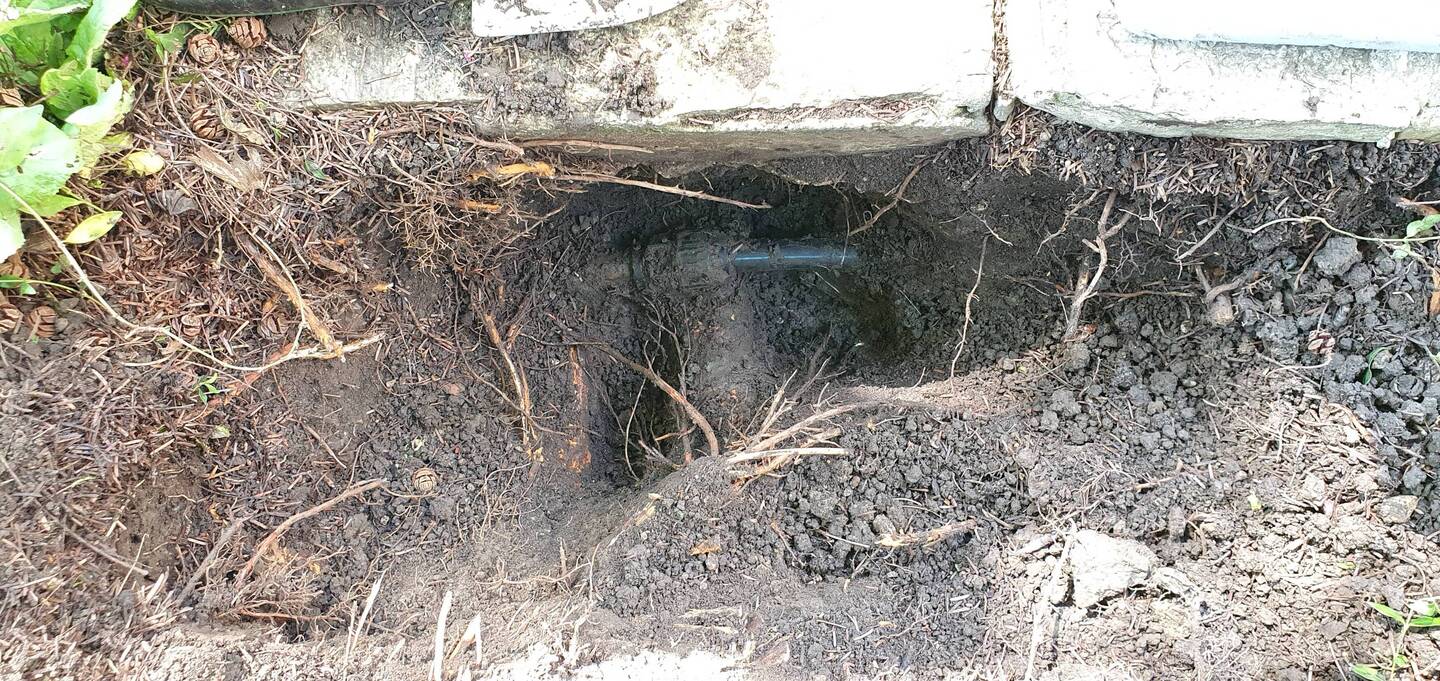 dig a hole