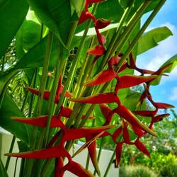 Schtreeeeeliiiiietzsche