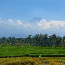 Das hätte unser Vulkan sein können. In meinen Gedanken sehe ich uns am Gipfel. 💩 Rinjani 💩